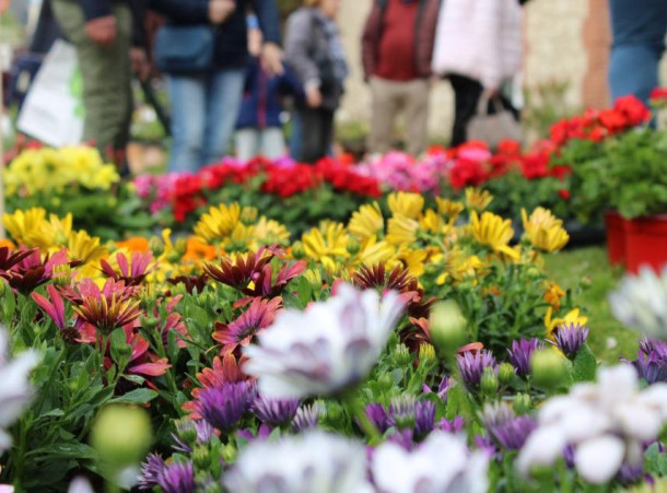 Soissons en Fleurs : La Fête du Jardin d’Horticulture 2025 s’annonce haute en couleurs