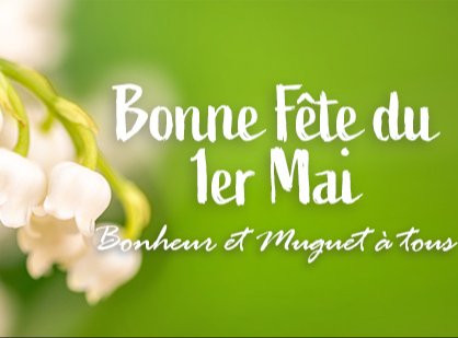 Le Muguet du 1er Mai : Une Tradition Porte-bonheur